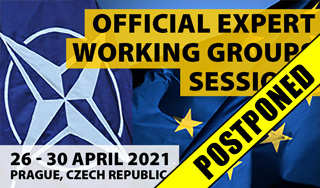 Official Working Groups' Sessions
